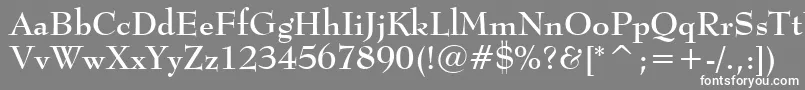 フォントBernhardmodBtBold – 灰色の背景に白い文字