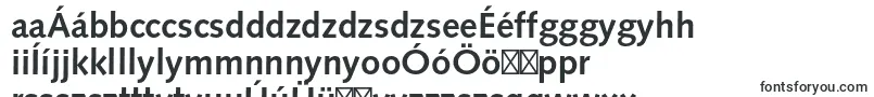 Шрифт SyntaxltstdBold – венгерские шрифты