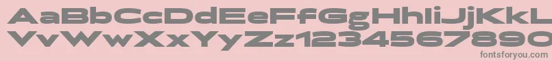 BrillerBlack Font – Gray Fonts on Pink Background