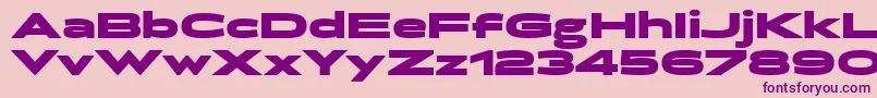 BrillerBlack Font – Purple Fonts on Pink Background