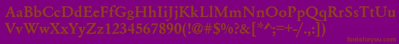 GaramondA.ZPsBold Font – Brown Fonts on Purple Background