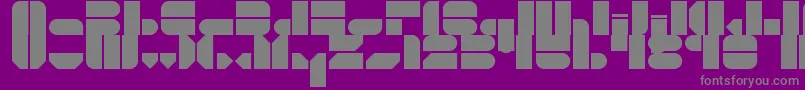 NussMotorsports Font – Gray Fonts on Purple Background