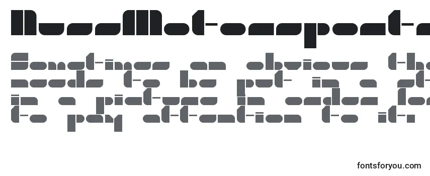 Review of the NussMotorsports Font