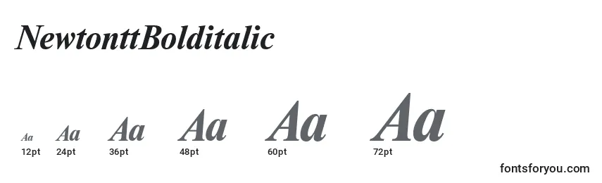 Размеры шрифта NewtonttBolditalic