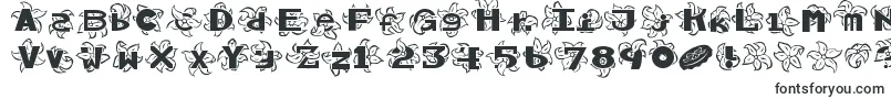 Шрифт Hawaiiah – шрифты для Microsoft PowerPoint