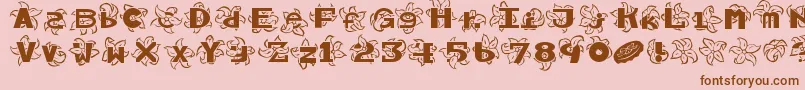 Hawaiiah Font – Brown Fonts on Pink Background