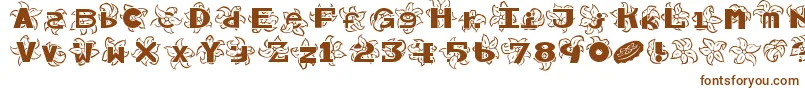 Hawaiiah Font – Brown Fonts on White Background