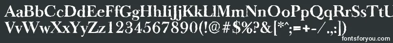 フォントBaskeroldantiqueBold – 黒い背景に白い文字