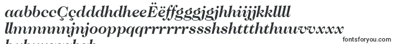 Шрифт CaslonNo.224BoldItalicBt – ньянджа шрифты