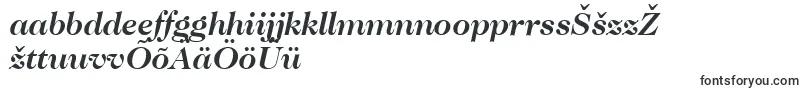 CaslonNo.224BoldItalicBt Font – Estonian Fonts