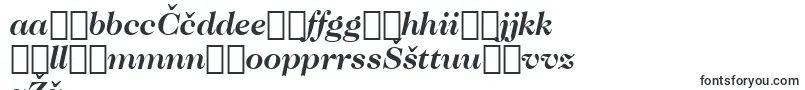 CaslonNo.224BoldItalicBt Font – Latvian Fonts