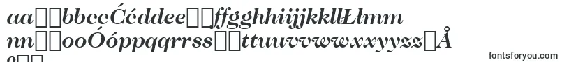 CaslonNo.224BoldItalicBt Font – Polish Fonts
