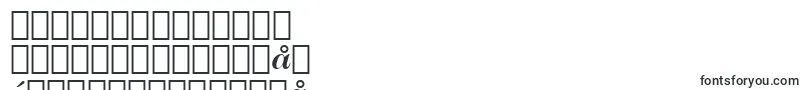 フォントCaslonNo.224BoldItalicBt – 中国の文字（簡体字）
