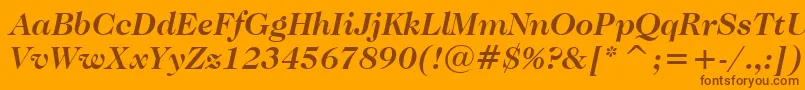 CaslonNo.224BoldItalicBt Font – Brown Fonts on Orange Background