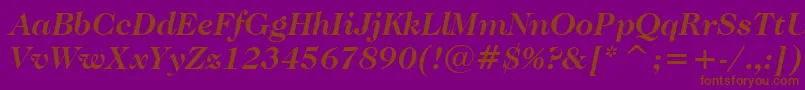 CaslonNo.224BoldItalicBt Font – Brown Fonts on Purple Background