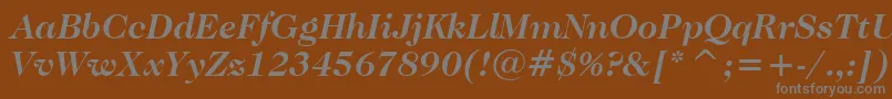 フォントCaslonNo.224BoldItalicBt – 茶色の背景に灰色の文字