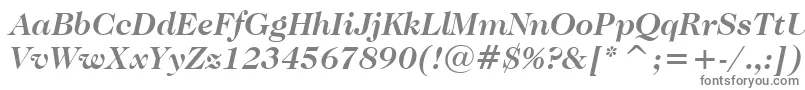 フォントCaslonNo.224BoldItalicBt – 白い背景に灰色の文字