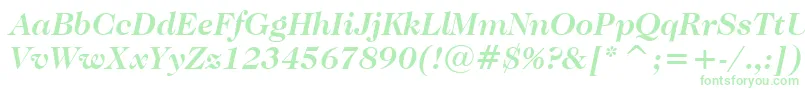 CaslonNo.224BoldItalicBt Font – Green Fonts