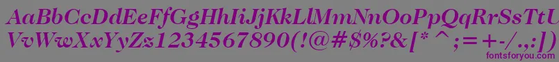 Czcionka CaslonNo.224BoldItalicBt – fioletowe czcionki na szarym tle