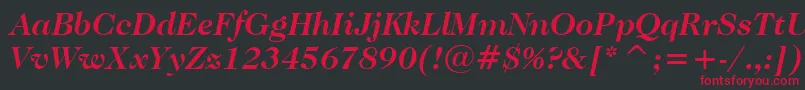 CaslonNo.224BoldItalicBt Font – Red Fonts on Black Background