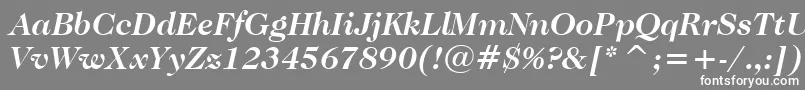 フォントCaslonNo.224BoldItalicBt – 灰色の背景に白い文字