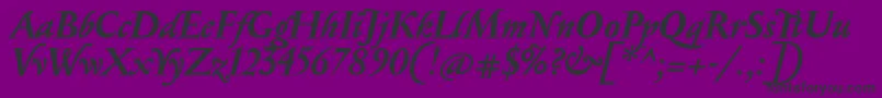 SerapionBolditalic Font – Black Fonts on Purple Background