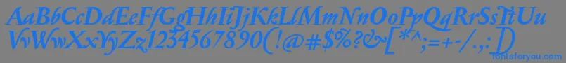 SerapionBolditalic Font – Blue Fonts on Gray Background