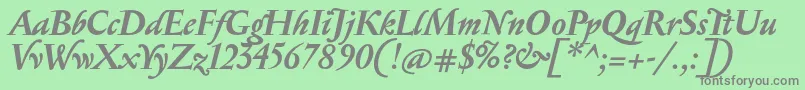 SerapionBolditalic Font – Gray Fonts on Green Background
