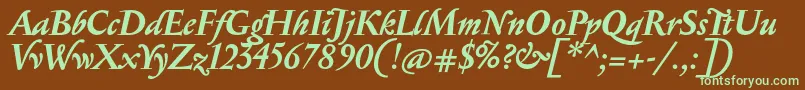 SerapionBolditalic Font – Green Fonts on Brown Background