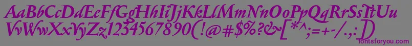 SerapionBolditalic Font – Purple Fonts on Gray Background