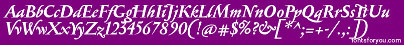 SerapionBolditalic-Schriftart – Weiße Schriften auf violettem Hintergrund