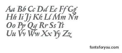 SerapionBolditalic Font