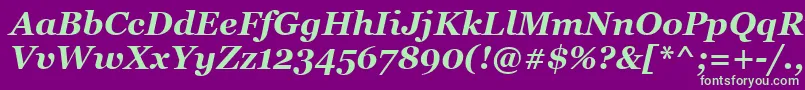 MsReferenceSerifРџРѕР»СѓР¶РёСЂРЅС‹Р№РљСѓСЂСЃРёРІ Font – Green Fonts on Purple Background