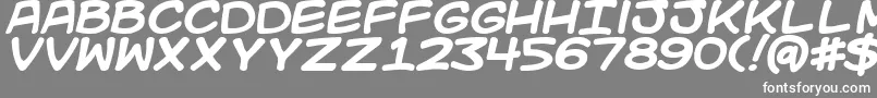フォントKidKosmicBold – 灰色の背景に白い文字