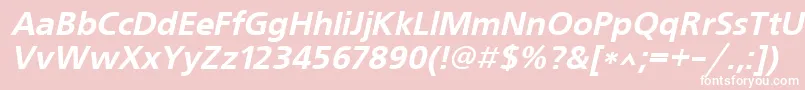 UkrainianfreesetBolditalic Font – White Fonts on Pink Background