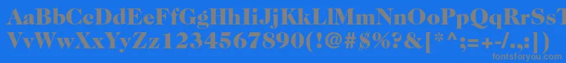 Caslon224stdBlack Font – Gray Fonts on Blue Background