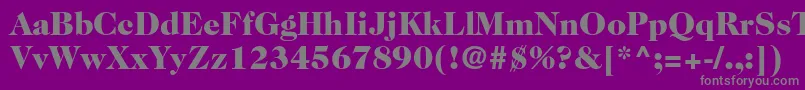 Caslon224stdBlack Font – Gray Fonts on Purple Background