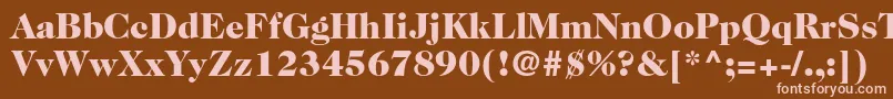 フォントCaslon224stdBlack – 茶色の背景にピンクのフォント