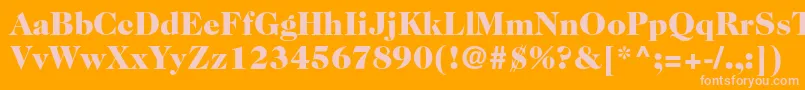 Police Caslon224stdBlack – polices roses sur fond orange