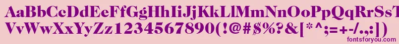 Police Caslon224stdBlack – polices violettes sur fond rose