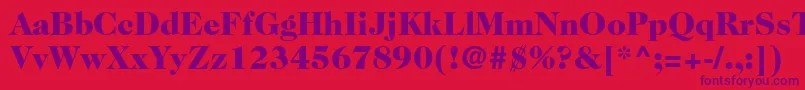 Caslon224stdBlack Font – Purple Fonts on Red Background