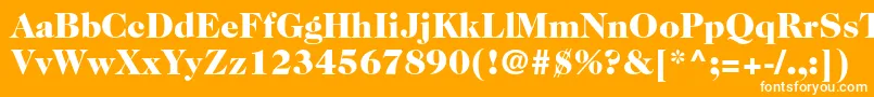 Caslon224stdBlack Font – White Fonts on Orange Background