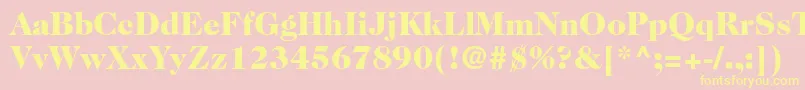 Caslon224stdBlack Font – Yellow Fonts on Pink Background