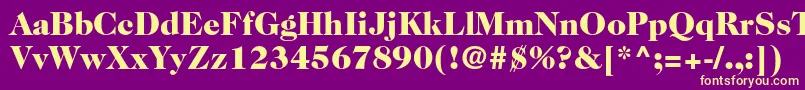 Caslon224stdBlack Font – Yellow Fonts on Purple Background