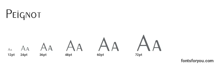 Peignot Font Sizes