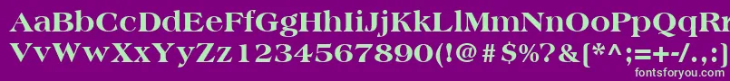 AmericanaLtExtraBold Font – Green Fonts on Purple Background