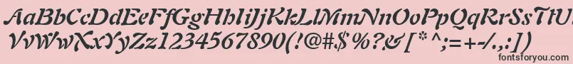 PaletteSsiBoldItalic Font – Black Fonts on Pink Background