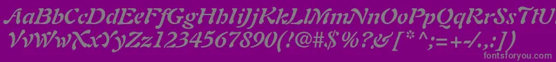 PaletteSsiBoldItalic Font – Gray Fonts on Purple Background