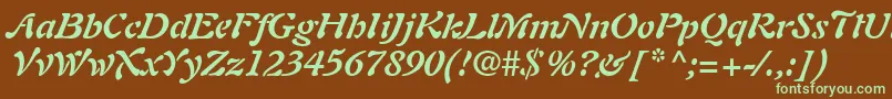 PaletteSsiBoldItalic Font – Green Fonts on Brown Background