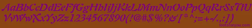 PaletteSsiBoldItalic Font – Purple Fonts on Brown Background